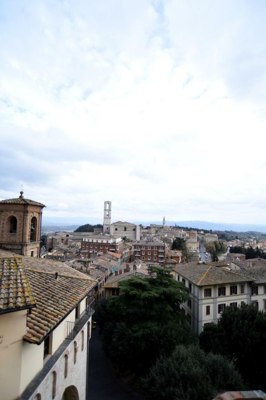 Calderini Perugia