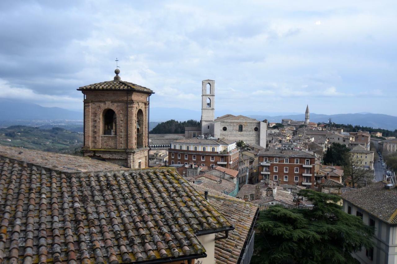 Calderini * Perugia